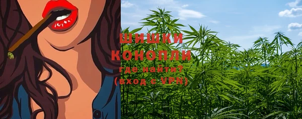 стафф Краснотурьинск