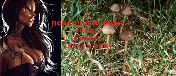 стафф Краснотурьинск